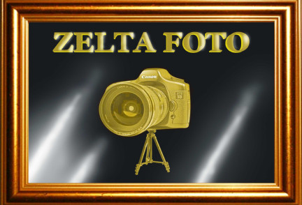 Konkurss "ZELTA FOTO"