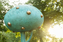 Foto: Krodera ābeles atklāšana Valmierā fotomirkļos