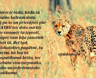 31. maija dienas horoskops sadarbībā ar astrologi.lv