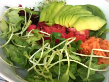 Svaigēšanas recepšu grāmata latviešu valodā!