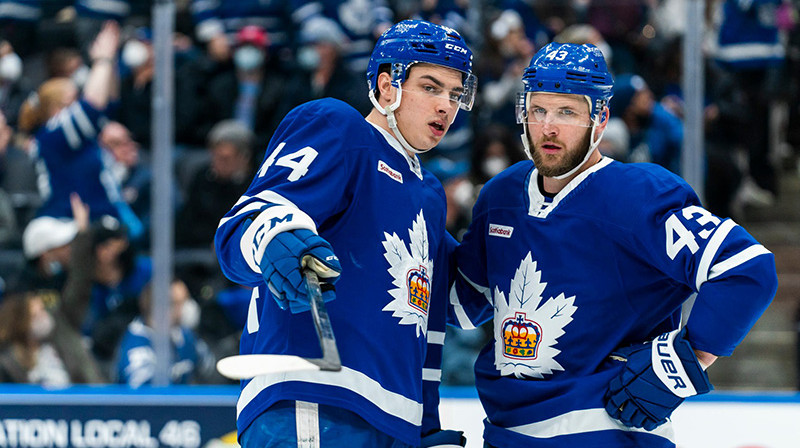 Kristiāns Rubīns. Foto: Toronto Marlies