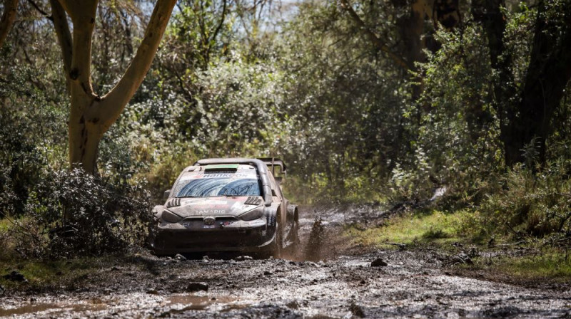 Foto: Toyota Gazoo Racing WRT