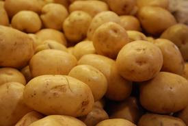 Katrs ceturtais Rīgas skolēns nezina, ka kartupeļi aug zem zemes
