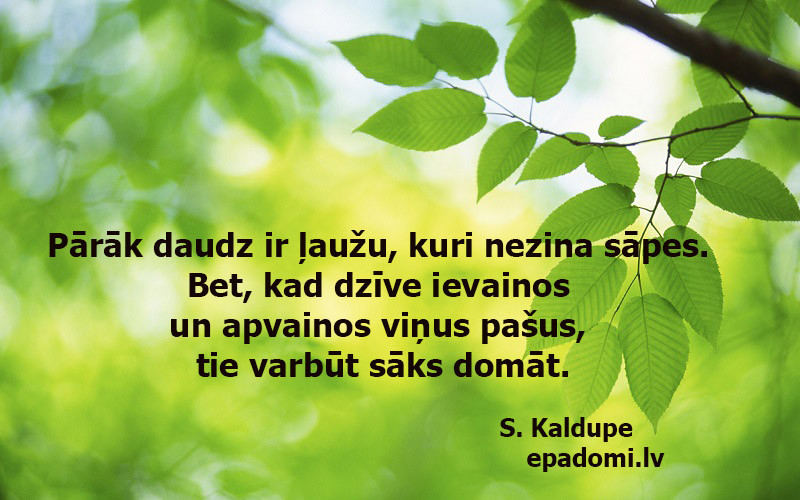 13. jūnija dienas horoskops sadarbībā ar astrologi.lv