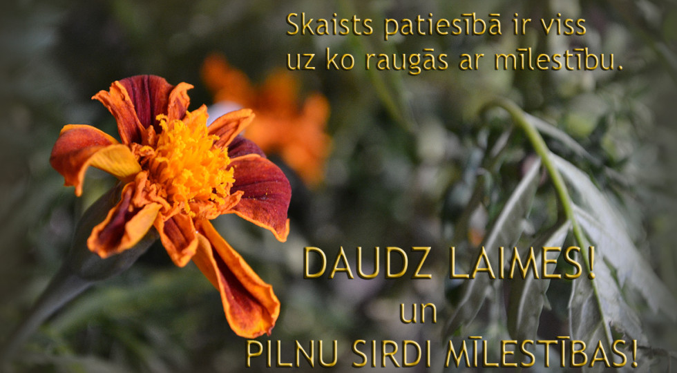 Foto: Apsveikuma kartiņa- Daudz laimes!